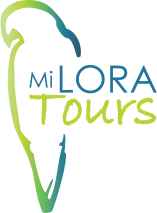 Mi Lora Tours